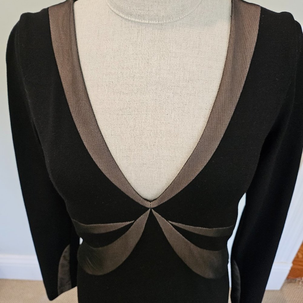 BCBG MaxAzria BodyCon Dress